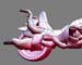 Motos_rippers6